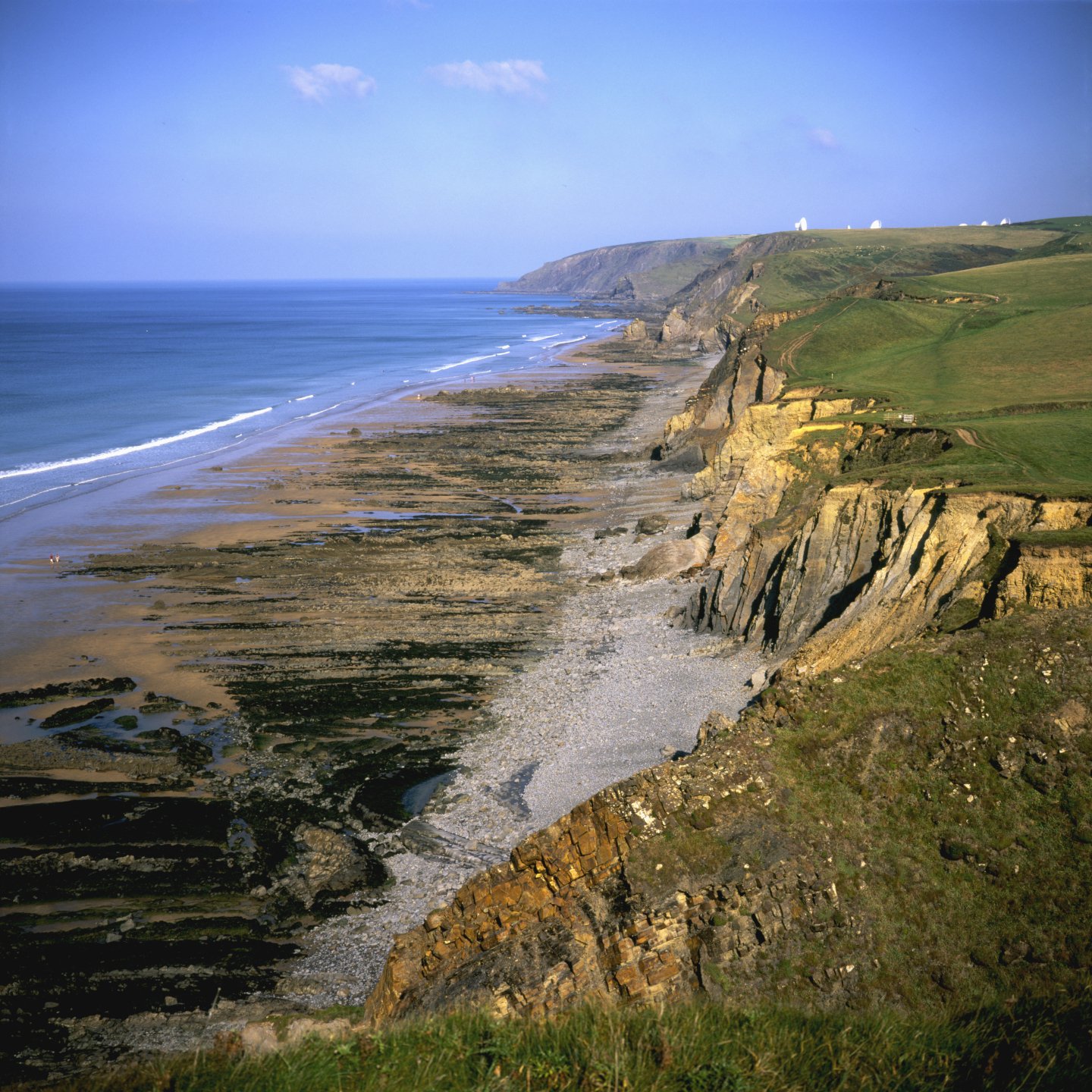 Bude Formation Sandymouth